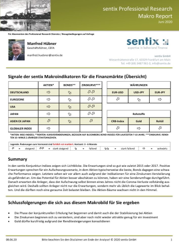 Makro Report